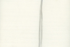 04 raba (15)